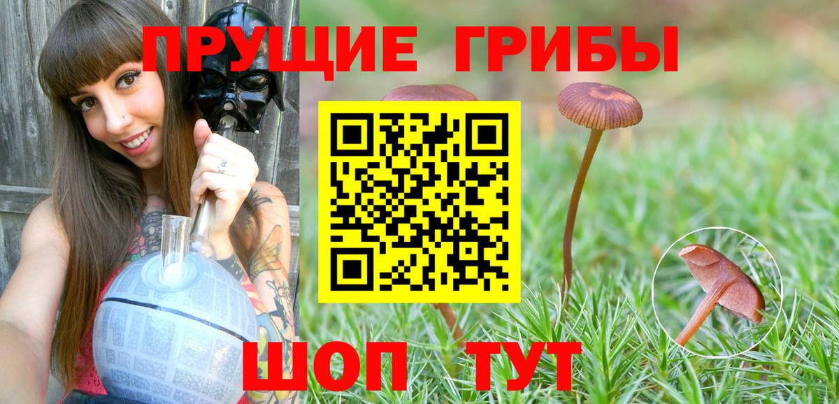 Коряжма  Галлюциногенные грибы Magic Shrooms  Вход с VPN 