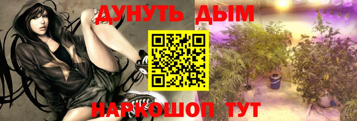 Каннабис VHQ Коряжма